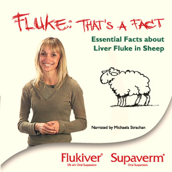Fluke Card Wallet